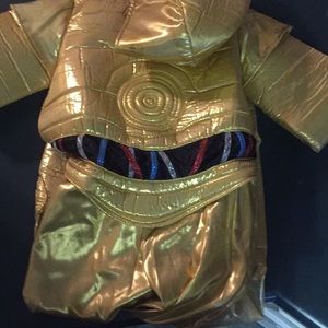 C 3PO costume